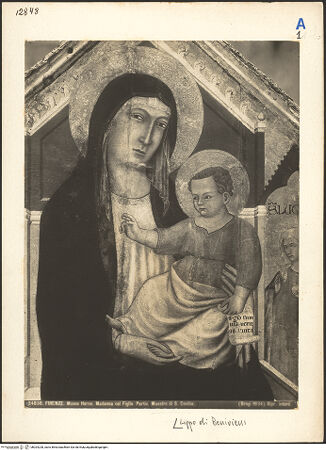 Vorderseite von bh024228_recto