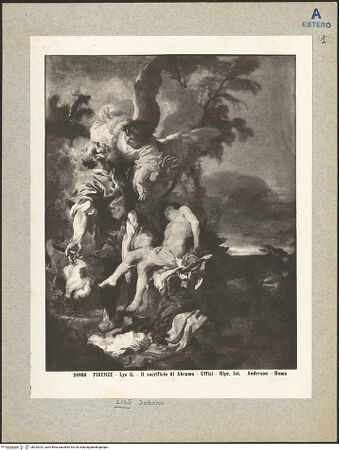 Vorderseite von bh024242_recto