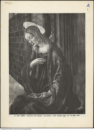 Vorderseite von bh024261_recto