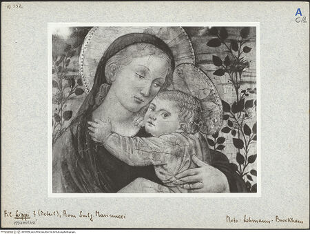 Vorderseite von bh024266_recto