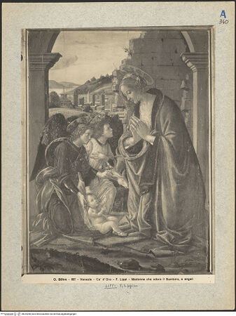 Vorderseite von bh024268_recto