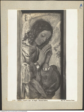 Vorderseite von bh024276_recto