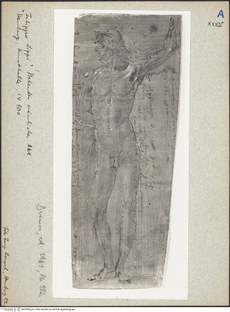 Vorderseite von bh024286_recto