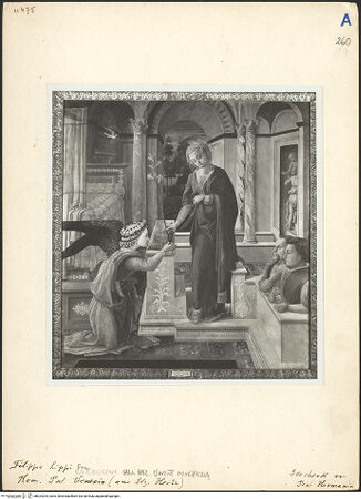 Vorderseite von bh024294_recto