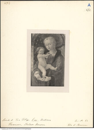 Vorderseite von bh024297_recto