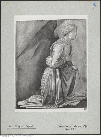 Vorderseite von bh024308_recto