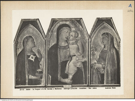 Vorderseite von bh024381_recto