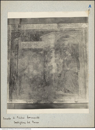 Vorderseite von bh024388_recto