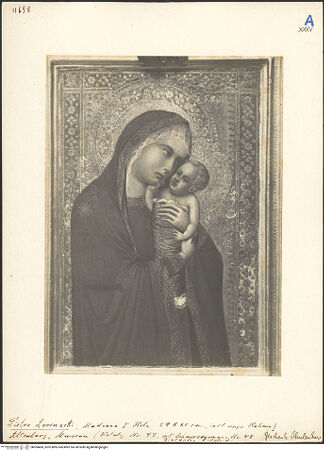 Vorderseite von bh024406_recto