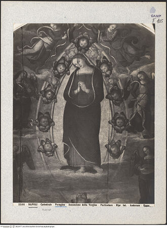 Vorderseite von Alinari [https://www.deutsche-digitale-bibliothek.de/content/lizenzen/rv-ez/] Mariä Himmelfahrt - Detail: Maria, bh024477_recto. Foto.