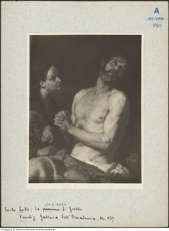 Vorderseite von bh024524_recto