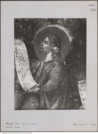 Vorderseite von Istituto Luce [https://www.deutsche-digitale-bibliothek.de/content/lizenzen/rv-ez/] Die Wurzel JesseZweige des David - Detail, bh024529_recto. Foto.