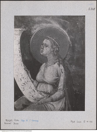 Vorderseite von Istituto Luce [https://www.deutsche-digitale-bibliothek.de/content/lizenzen/rv-ez/] Die Wurzel JesseZweige des Salomon - Detail, bh024530_recto. Foto.