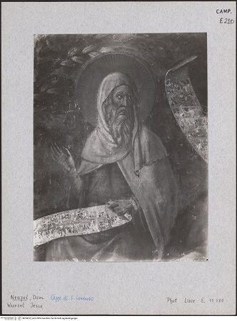 Vorderseite von Istituto Luce [https://www.deutsche-digitale-bibliothek.de/content/lizenzen/rv-ez/] Die Wurzel JesseZweige des Joachim - Detail, bh024532_recto. Foto.