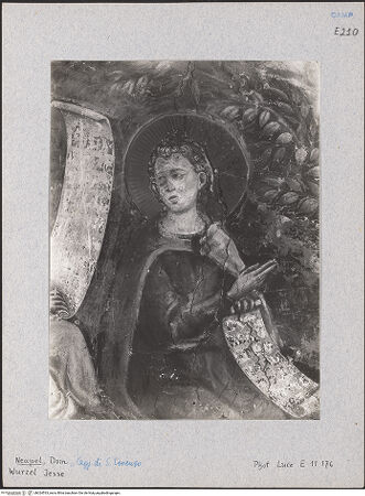 Vorderseite von Istituto Luce [https://www.deutsche-digitale-bibliothek.de/content/lizenzen/rv-ez/] Die Wurzel JesseZweige des Joachim - Detail, bh024533_recto. Foto.