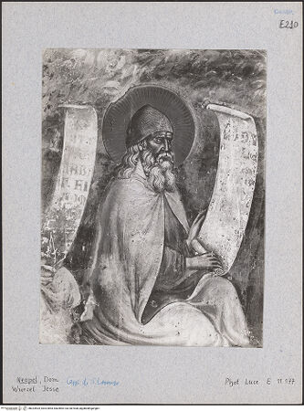 Vorderseite von Istituto Luce [https://www.deutsche-digitale-bibliothek.de/content/lizenzen/rv-ez/] Die Wurzel JesseZweige des Joachim - Detail, bh024534_recto. Foto.