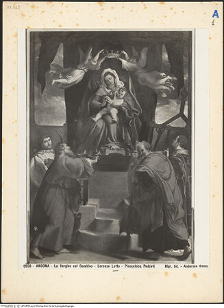 Vorderseite von bh024599_recto