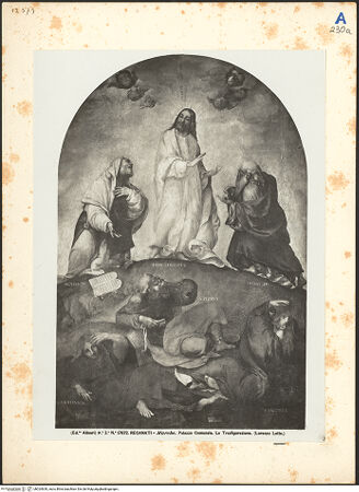 Vorderseite von bh024630_recto