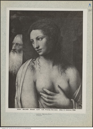 Vorderseite von bh024665_recto