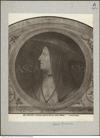 Vorderseite von bh024666_recto