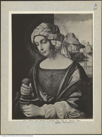 Vorderseite von bh024668_recto