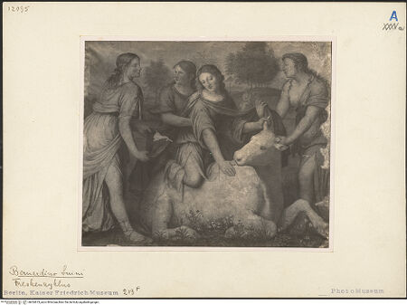 Vorderseite von bh024673_recto