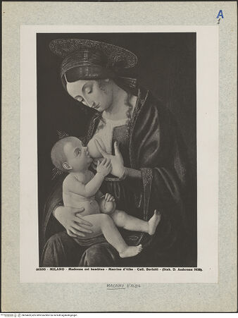 Vorderseite von bh024683_recto