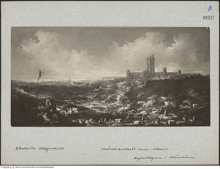 Vorderseite von bh024709_recto