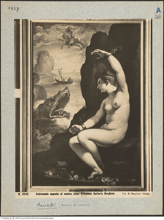 Vorderseite von bh024725_recto