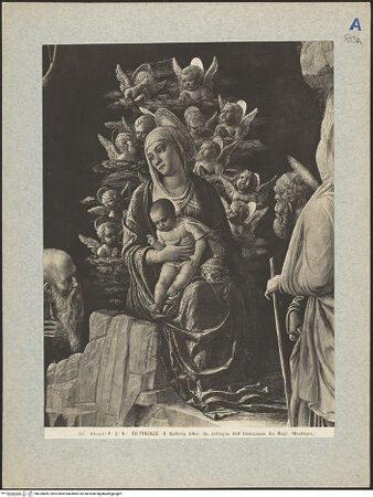 Vorderseite von bh024889_recto