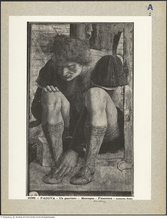 Vorderseite von bh024890_recto