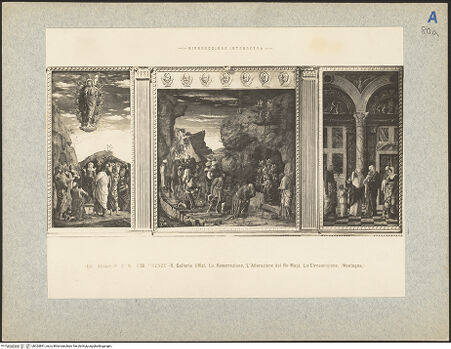 Vorderseite von bh024891_recto