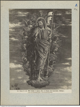 Vorderseite von bh024893_recto