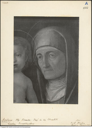 Vorderseite von bh024894_recto