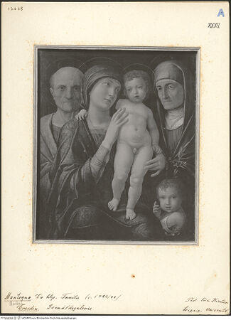 Vorderseite von bh024895_recto