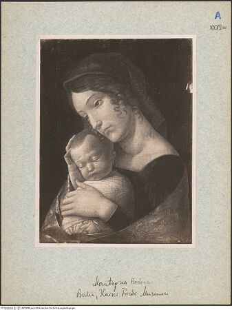 Vorderseite von bh024898_recto