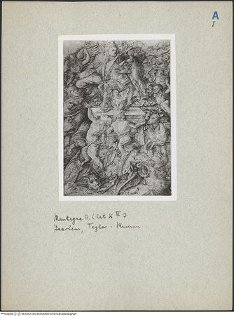 Vorderseite von bh024902_recto