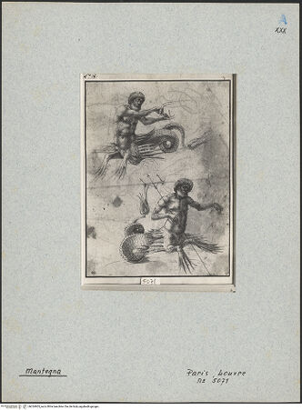 Vorderseite von bh024905_recto