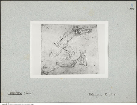 Vorderseite von bh024908_recto