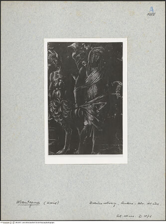 Vorderseite von bh024911_recto