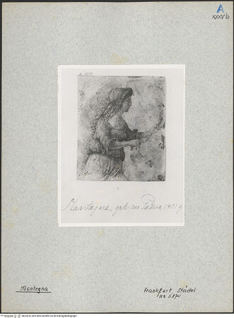 Vorderseite von bh024918_recto