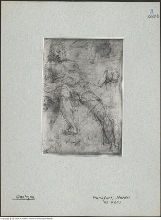 Vorderseite von bh024919_recto