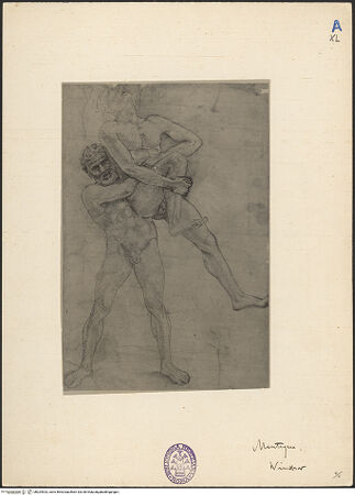 Vorderseite von bh024923_recto