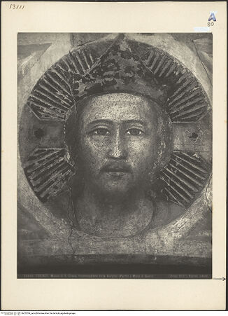 Vorderseite von bh025006_recto