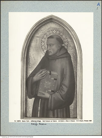 Vorderseite von bh025014_recto