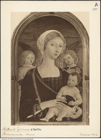 Vorderseite von bh025050_recto