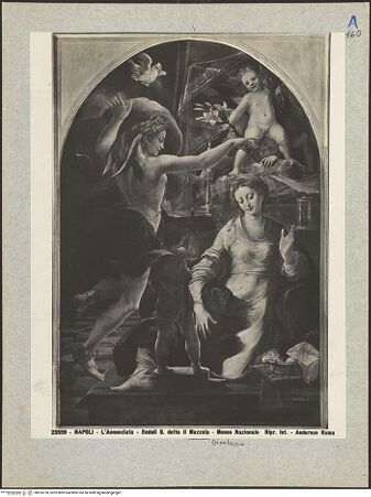 Vorderseite von bh025120_recto