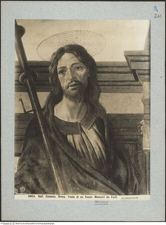 Vorderseite von bh025142_recto