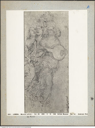 Vorderseite von bh025143_recto