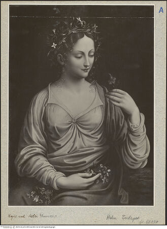 Vorderseite von bh025145_recto